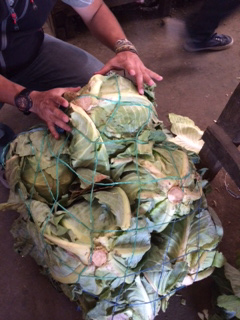 cabbages-xela, Guatemala Food Markets